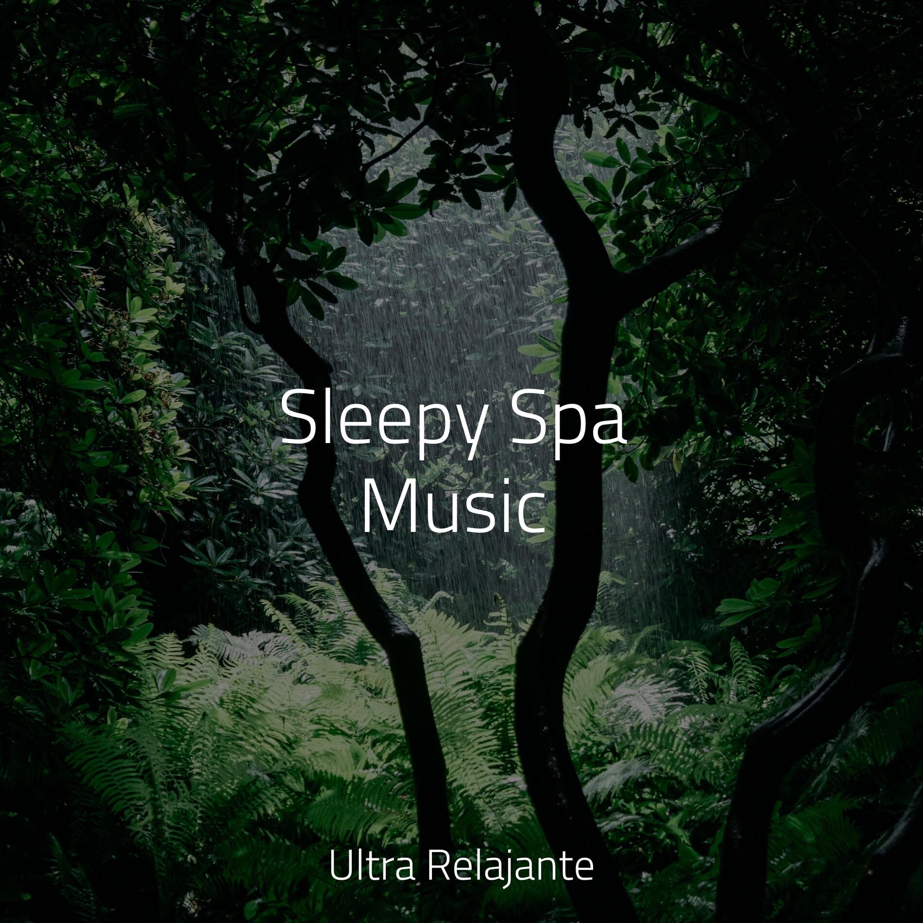 Album cover of Sleepy Spa Music