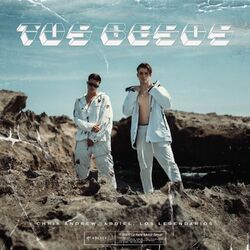 Cover of Tus Besos