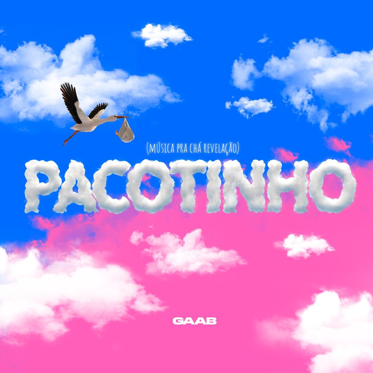 Album cover of Pacotinho (Menino)