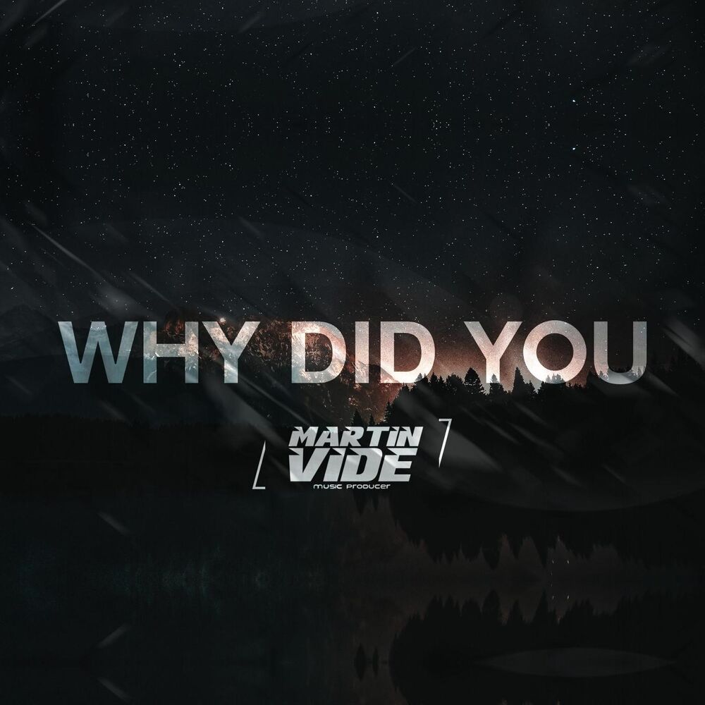Picture of Why Did You