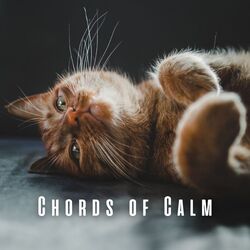Cover of Chords of Calm: Piano Melodies for Cats' Relaxation
