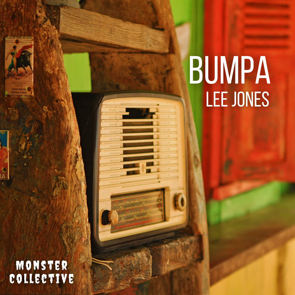 Album artwork for Bumpa by Lee Jones