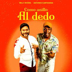Cover of Como anillo al dedo