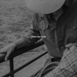 Cover of Open the Gate