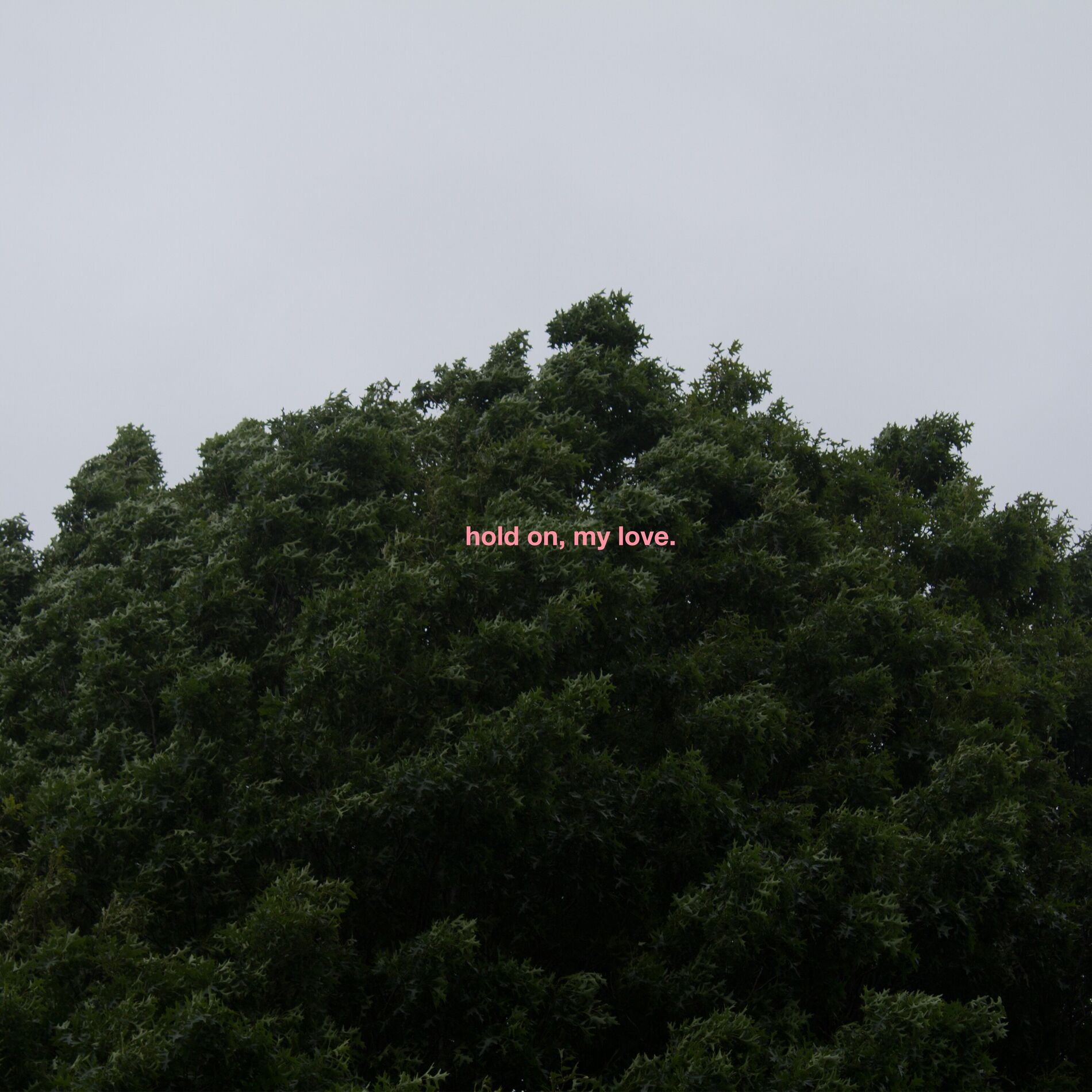 Album cover of Fell Apart