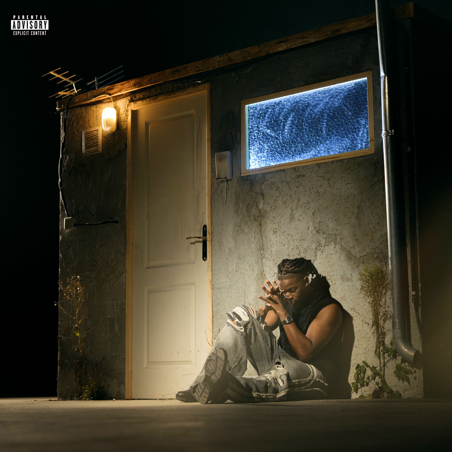 Album cover of Des rires et des pleurs