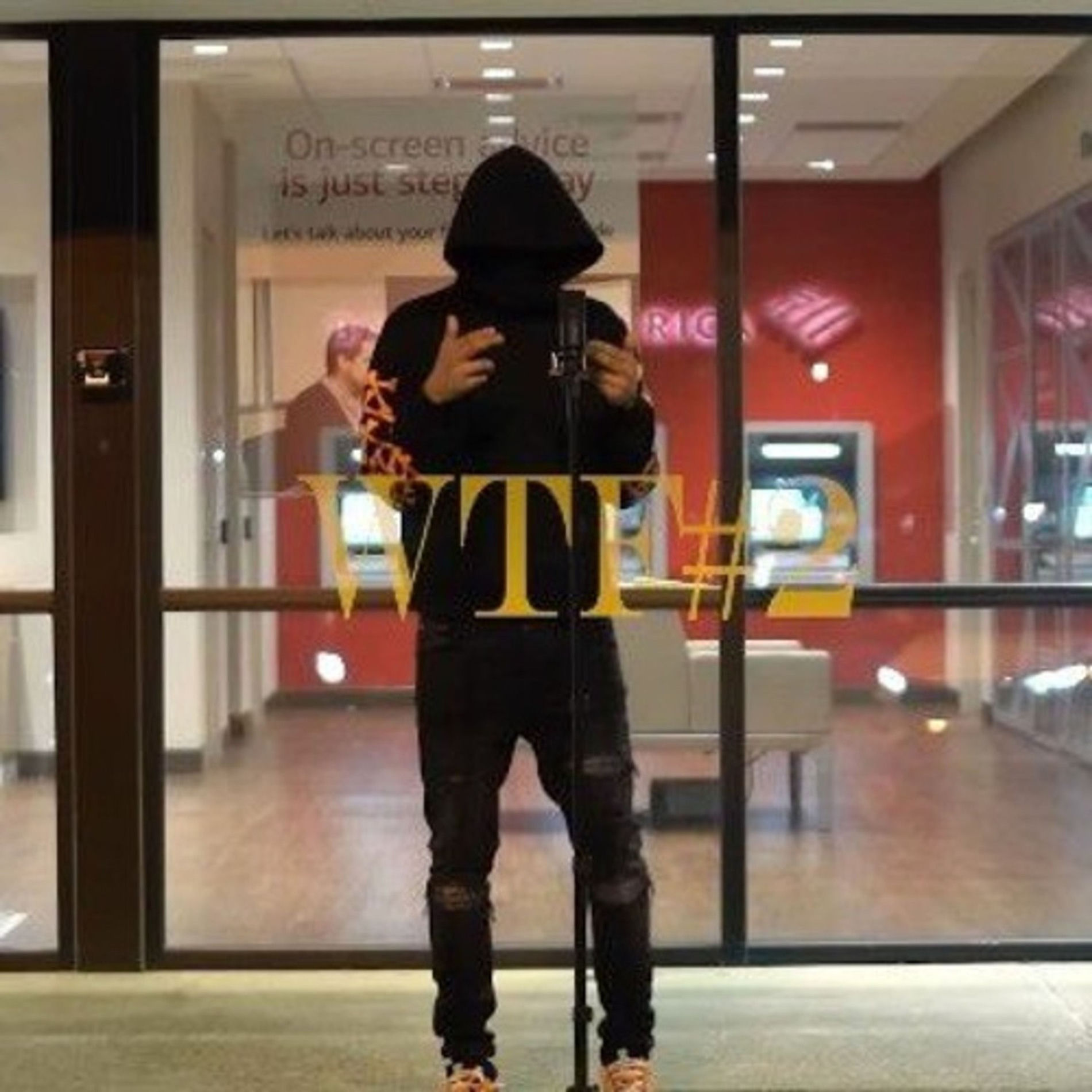 Album cover of WTF 2