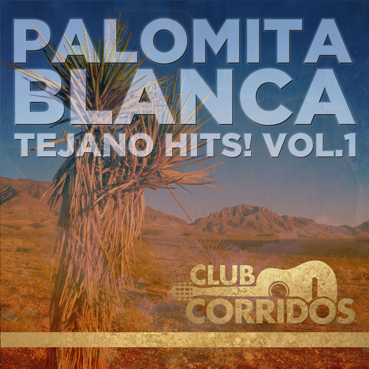 Album cover of Club Corridos: Palomita Blanca - Tejano Hits! Vol.1