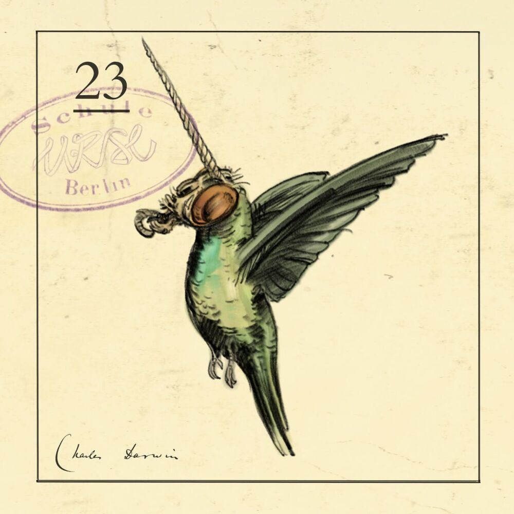 Picture of Expedition Zarmina