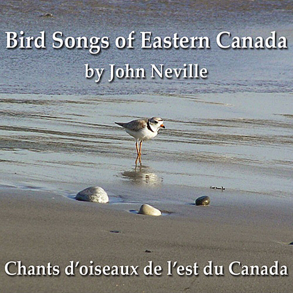 Picture of Bird Songs of Eastern Canada