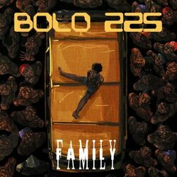 Cover of Family