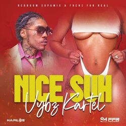 Cover of Nice Suh