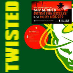 Cover of Catch the Breeze / Wild Horses