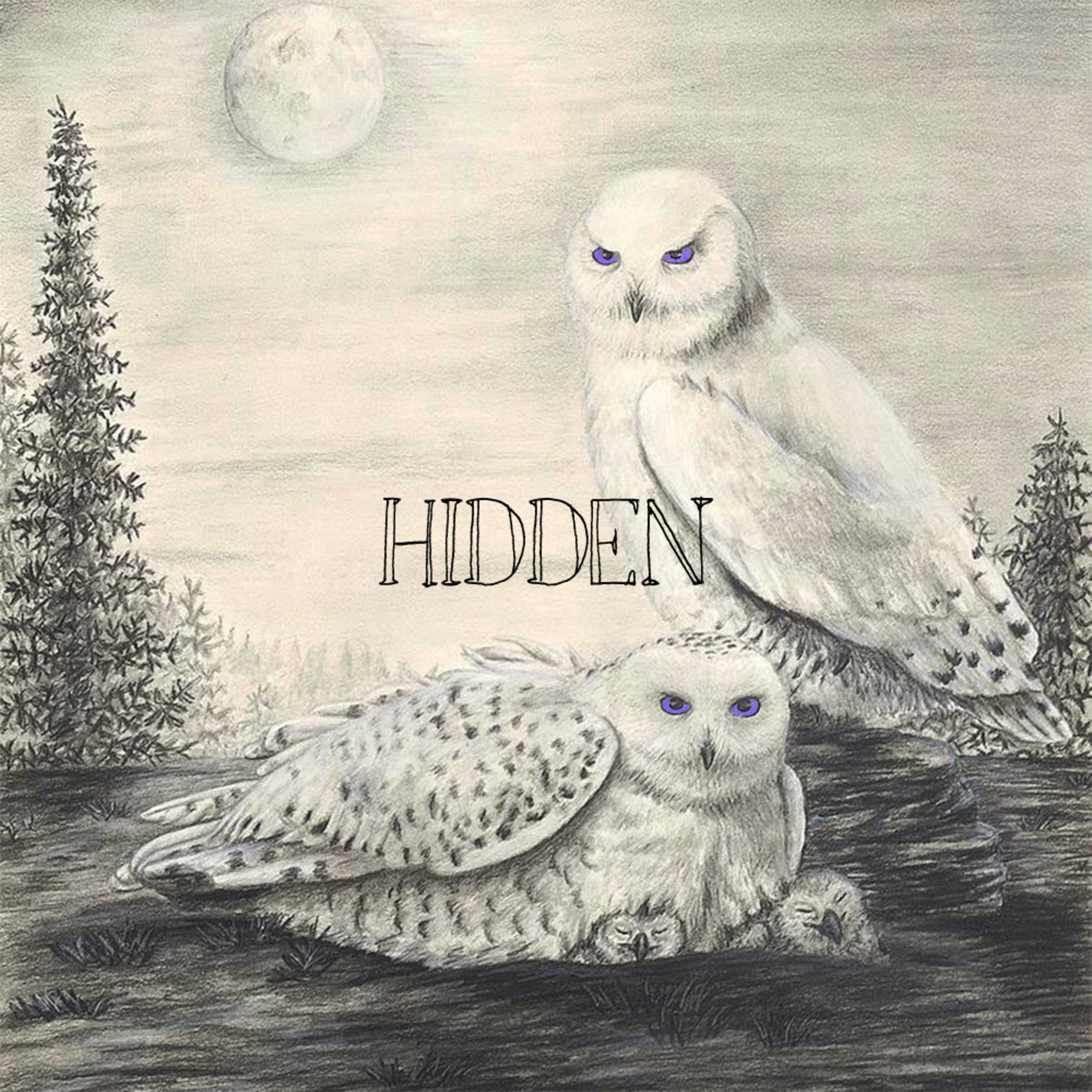 Album cover of Hidden