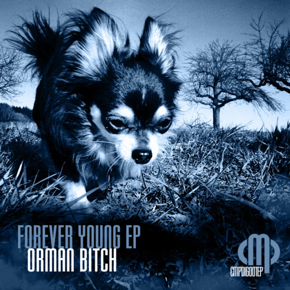 Picture of Forever Young