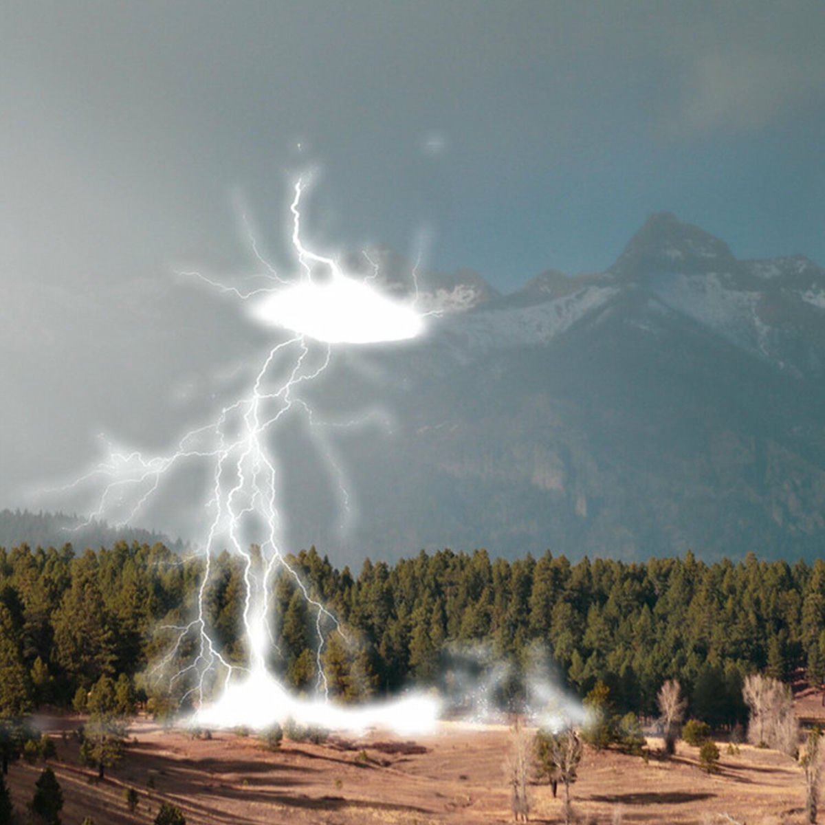 Album cover of Lightening Lightning
