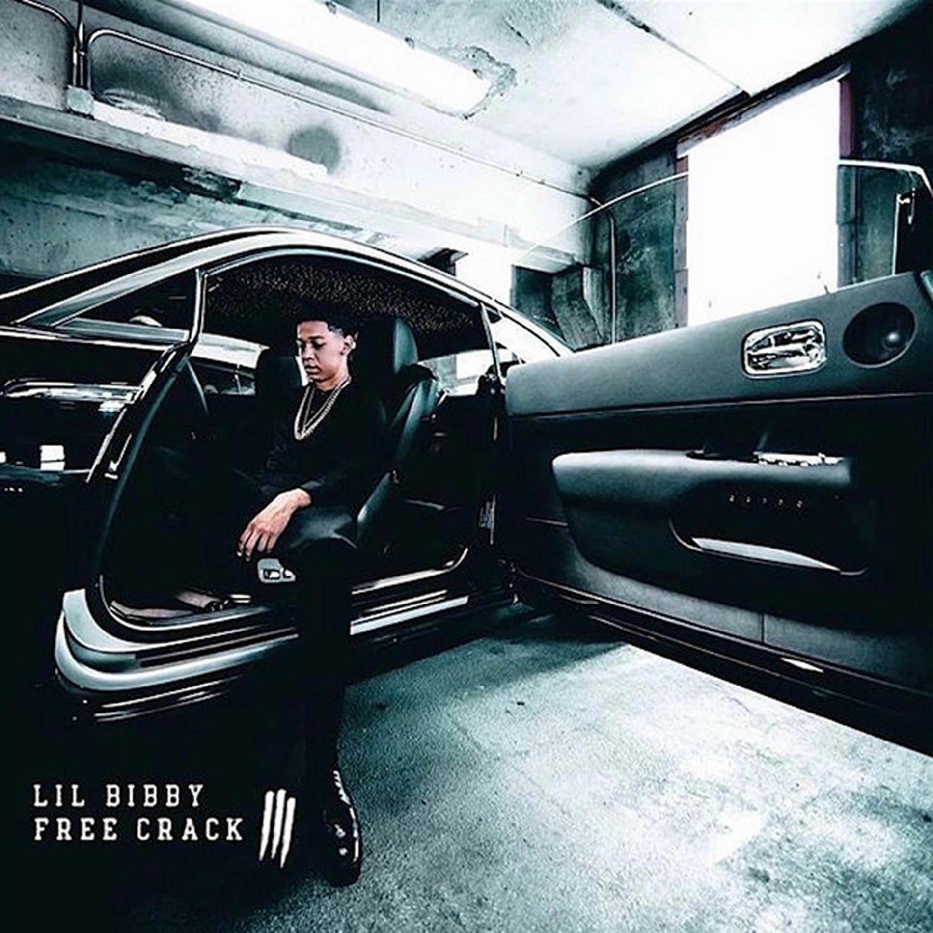 Album cover of Free Crack III