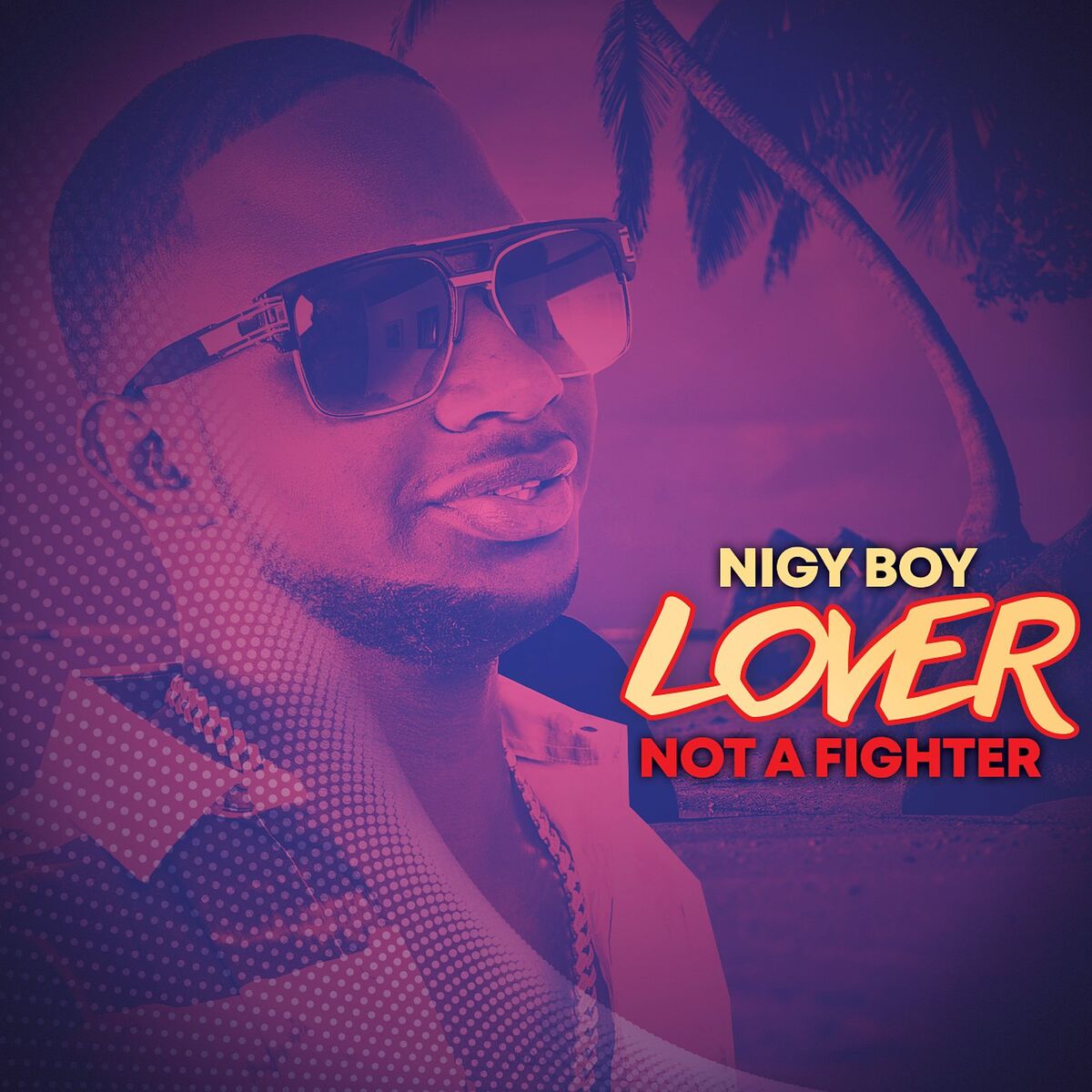 Album cover of Lover Not a Fighter