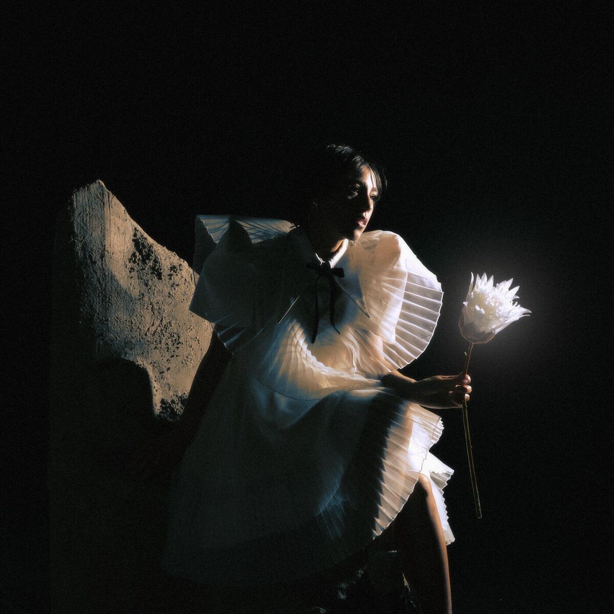 Album cover of January (Telenoir Version)
