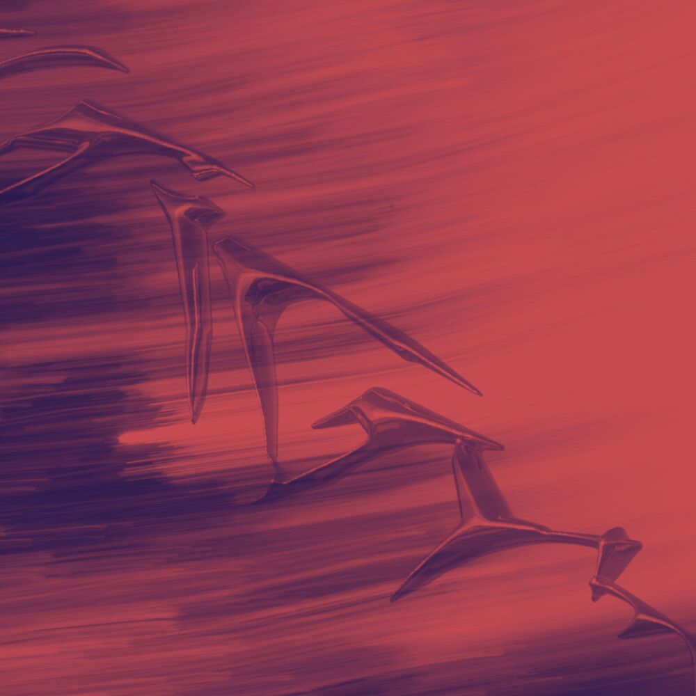Picture of WIND