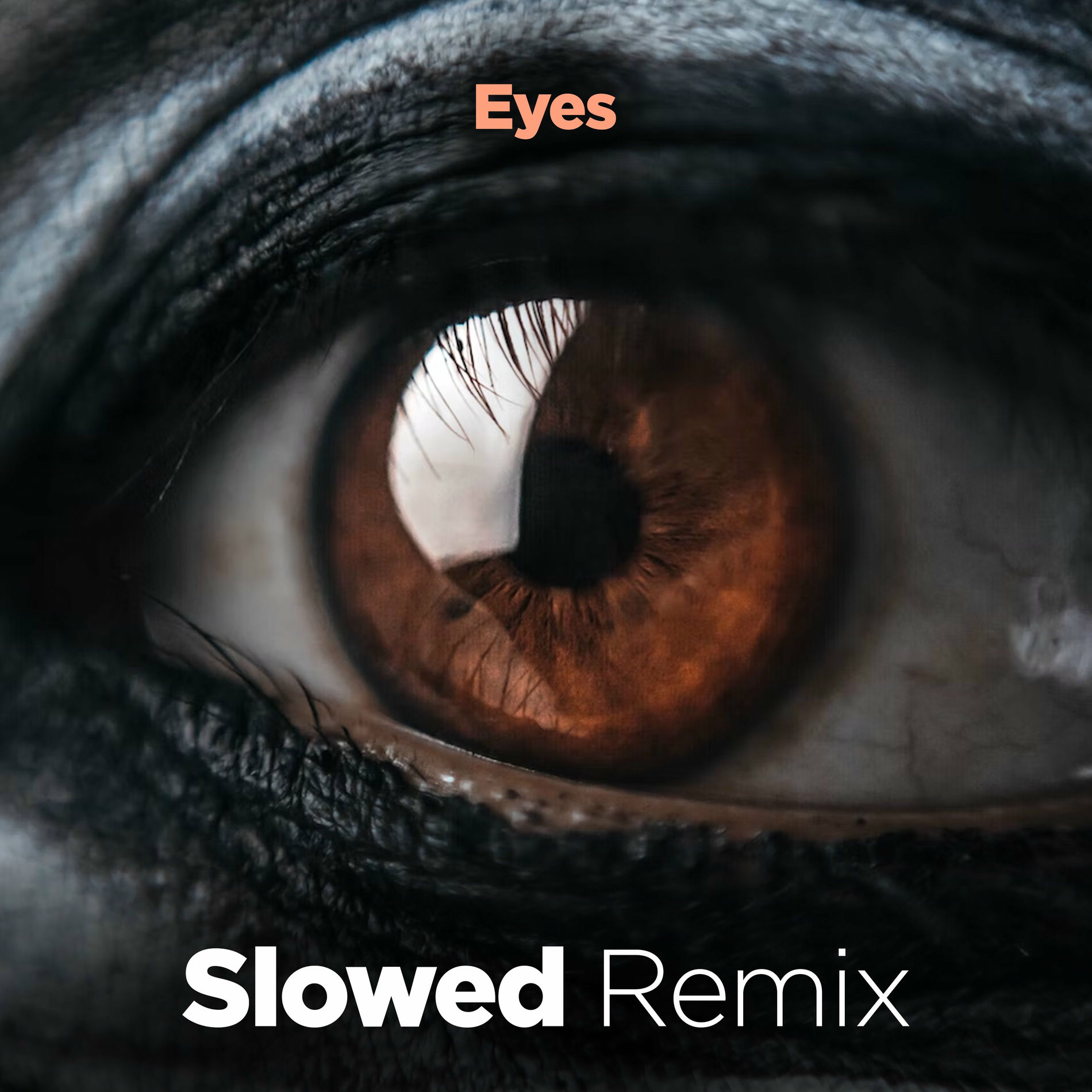 Album cover of Eyes (Slowed Remix)