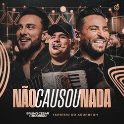 Cover of Não Causou Nada (Ao Vivo)
