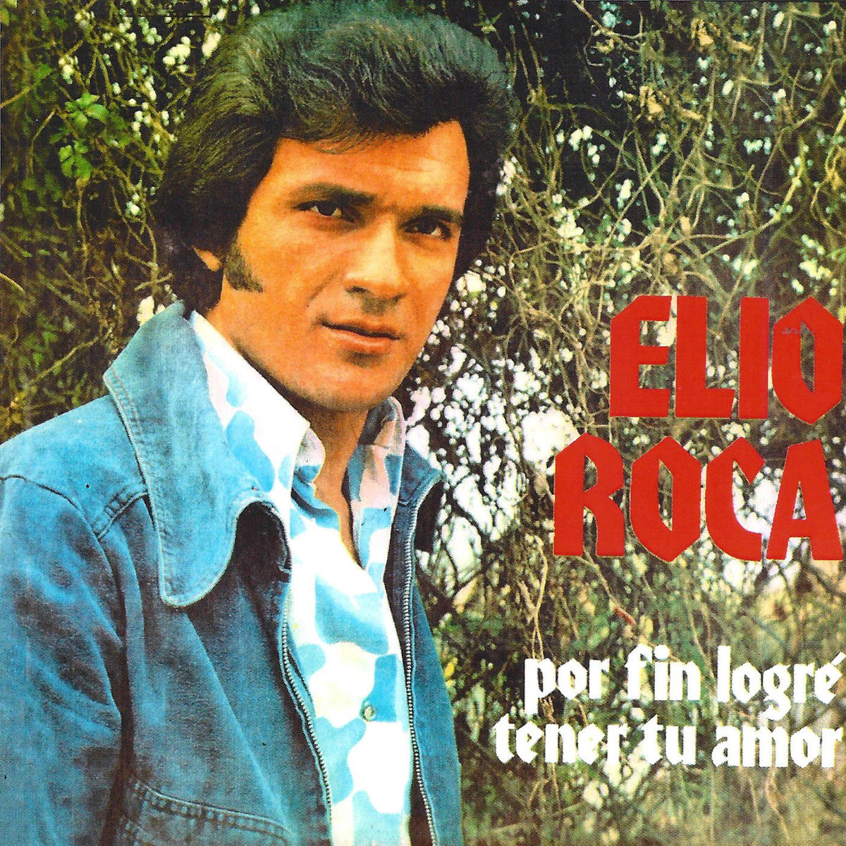 Album cover of Por Fin Logré Tener Tu Amor