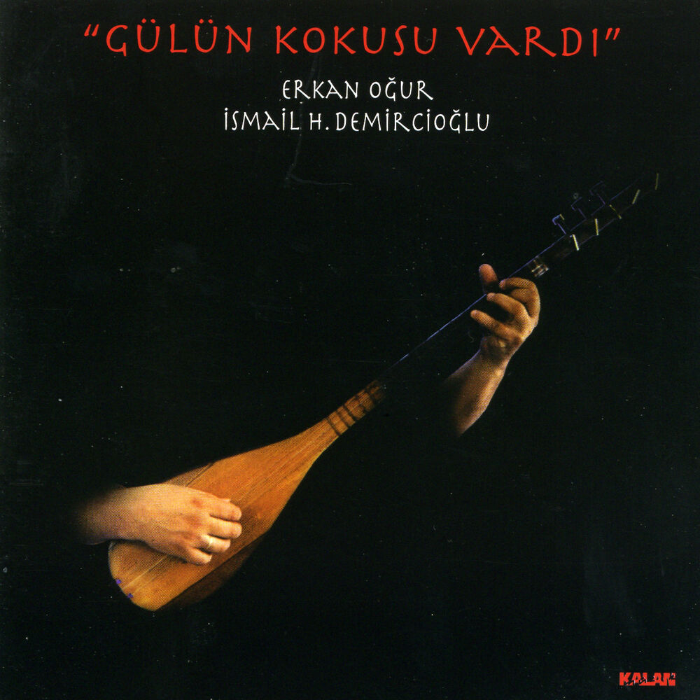 Picture of Gülün Kokusu Vardı