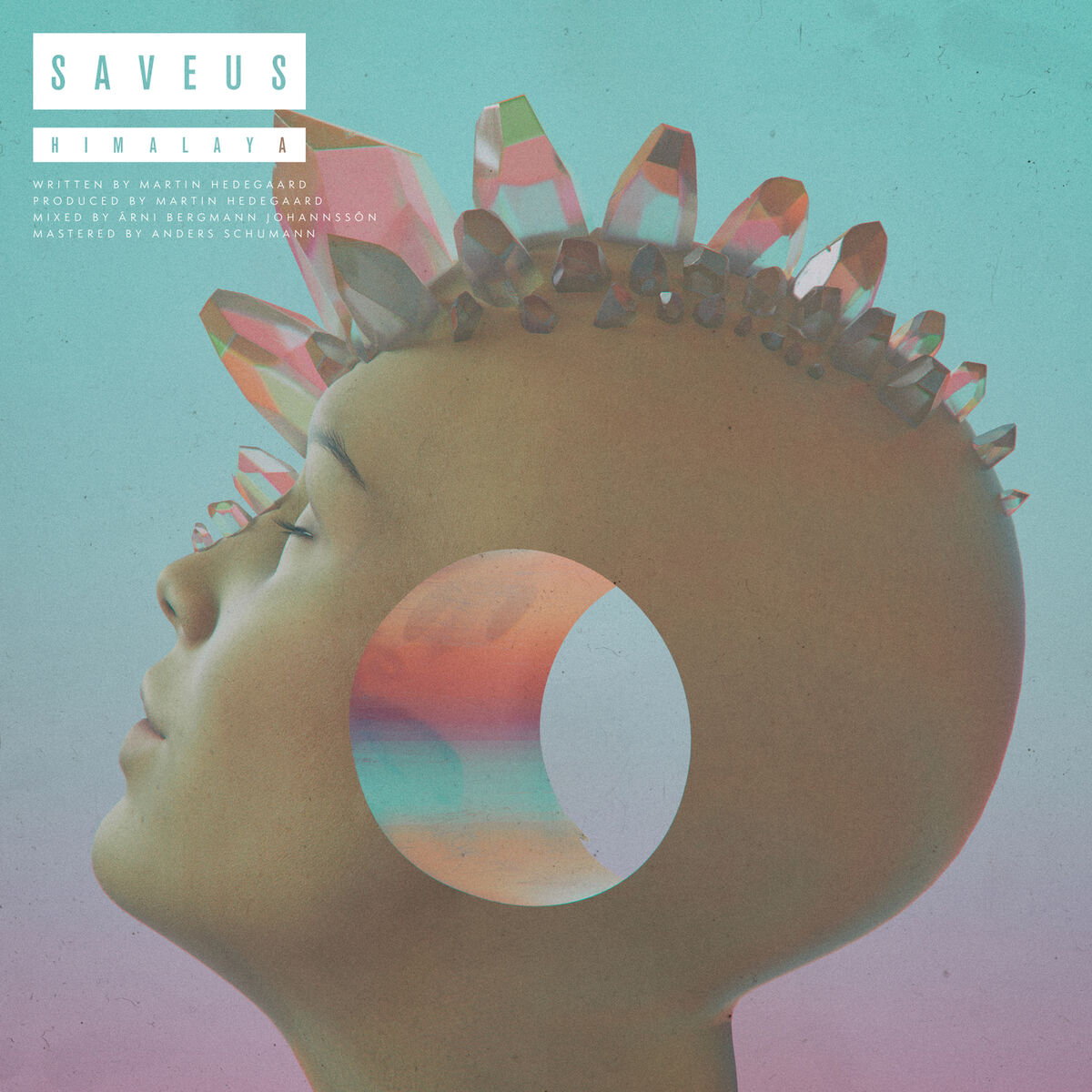 Album cover of Himalaya
