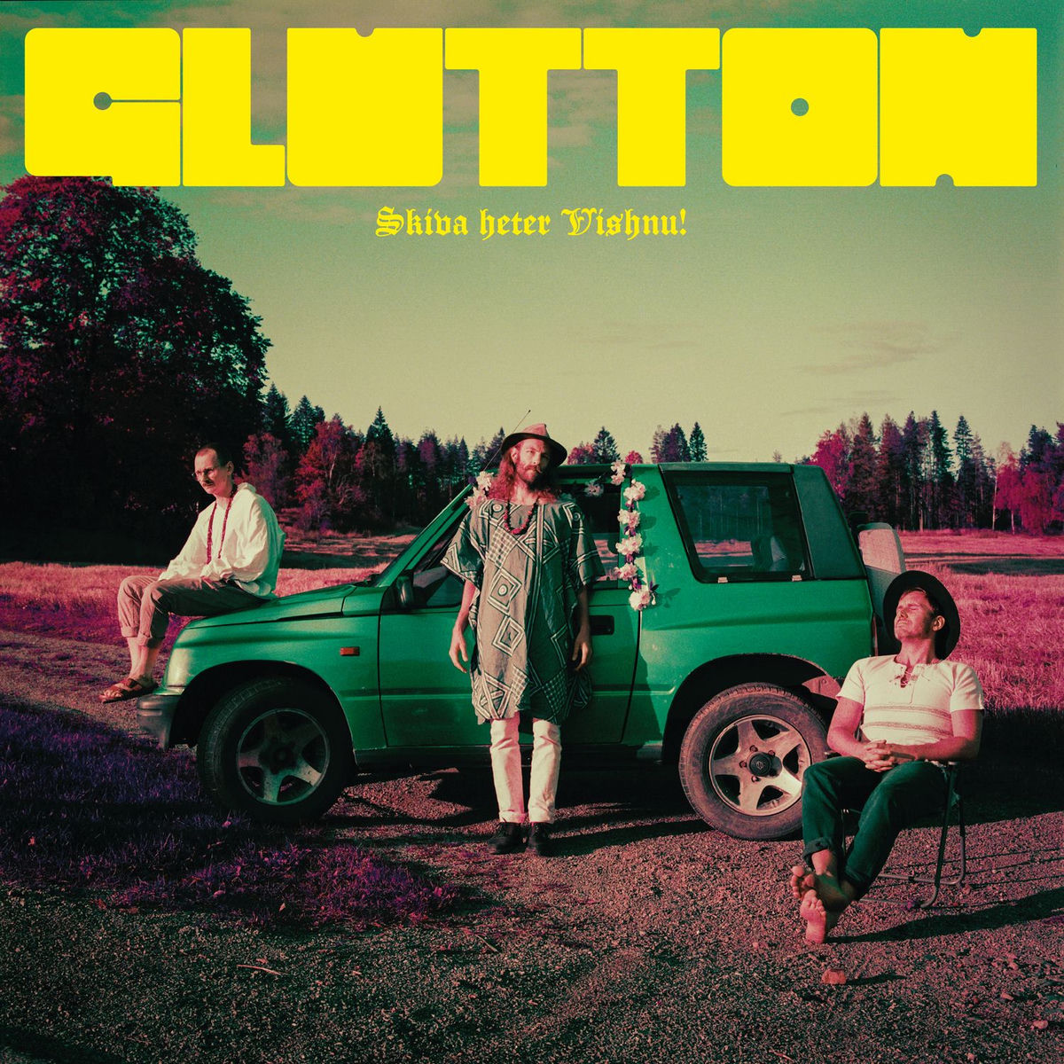 Album cover of Skiva heter Vishnu!