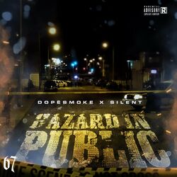 Cover of Hazard in Public