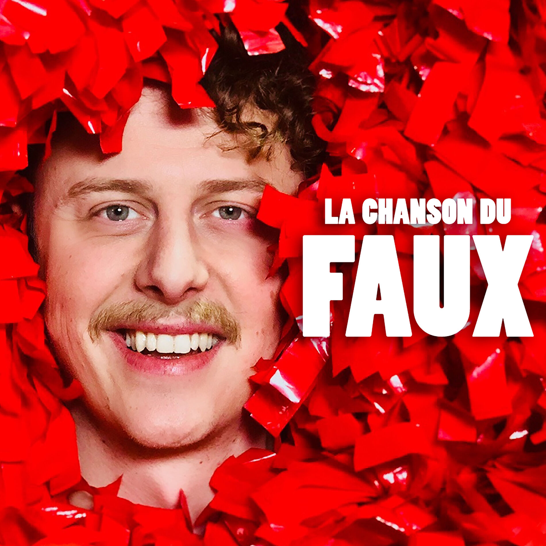 Album cover of La chanson du faux