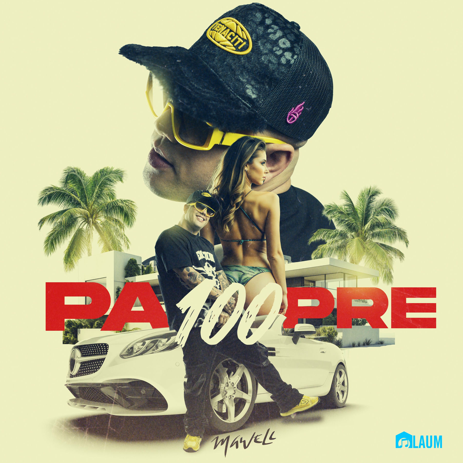 Album cover of Pa100Pre