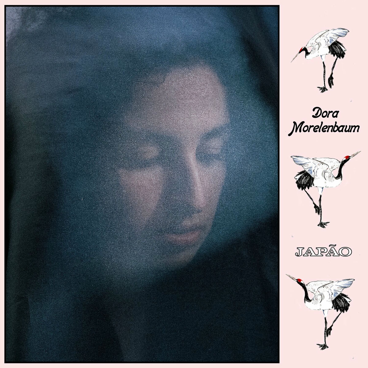 Album cover of Japão
