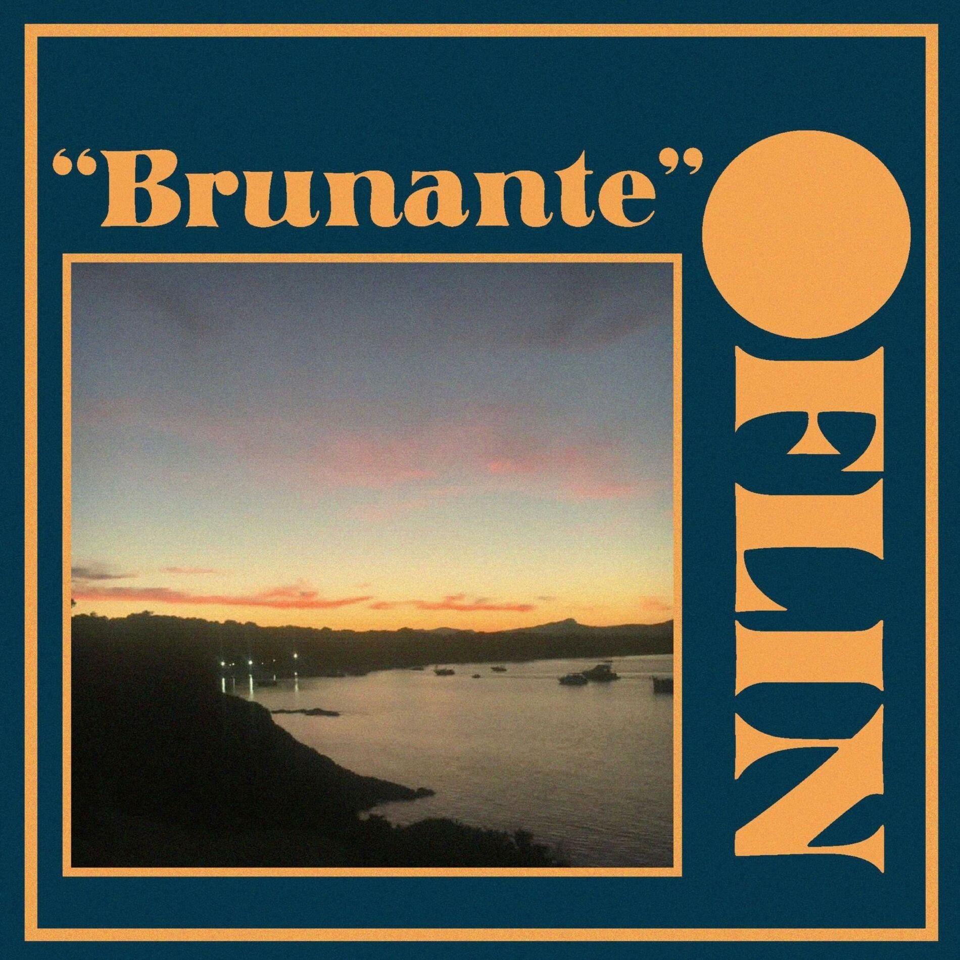 Album cover of Brunante