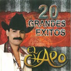 Cover of 20 Grandes Éxitos