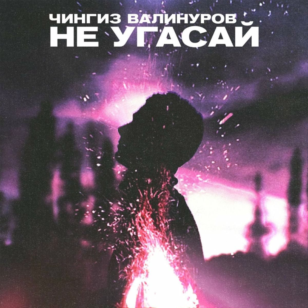 Album cover of Не угасай
