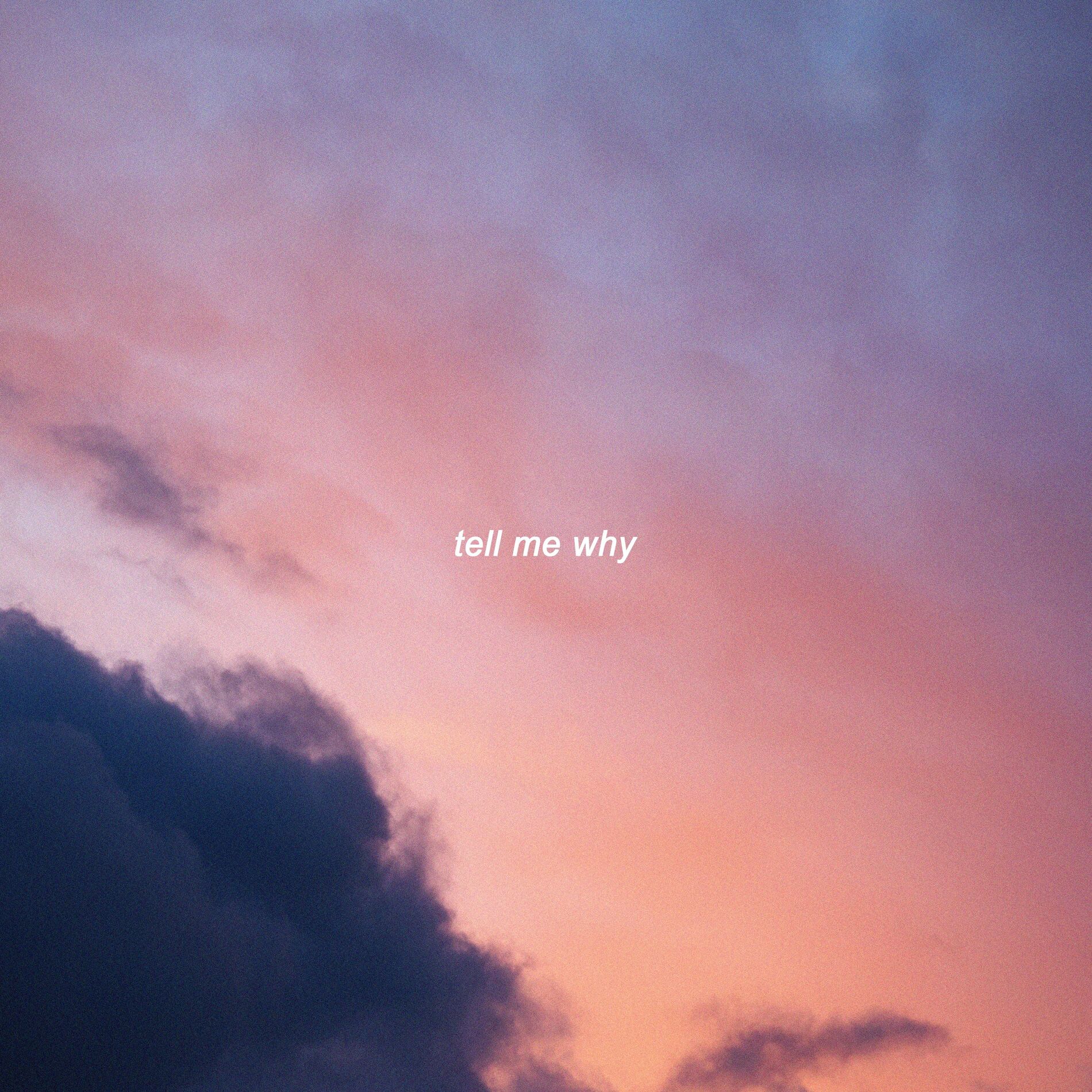 Album cover of tell me why