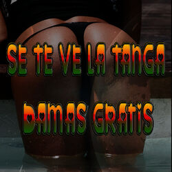 Cover of Se te ve la tanga