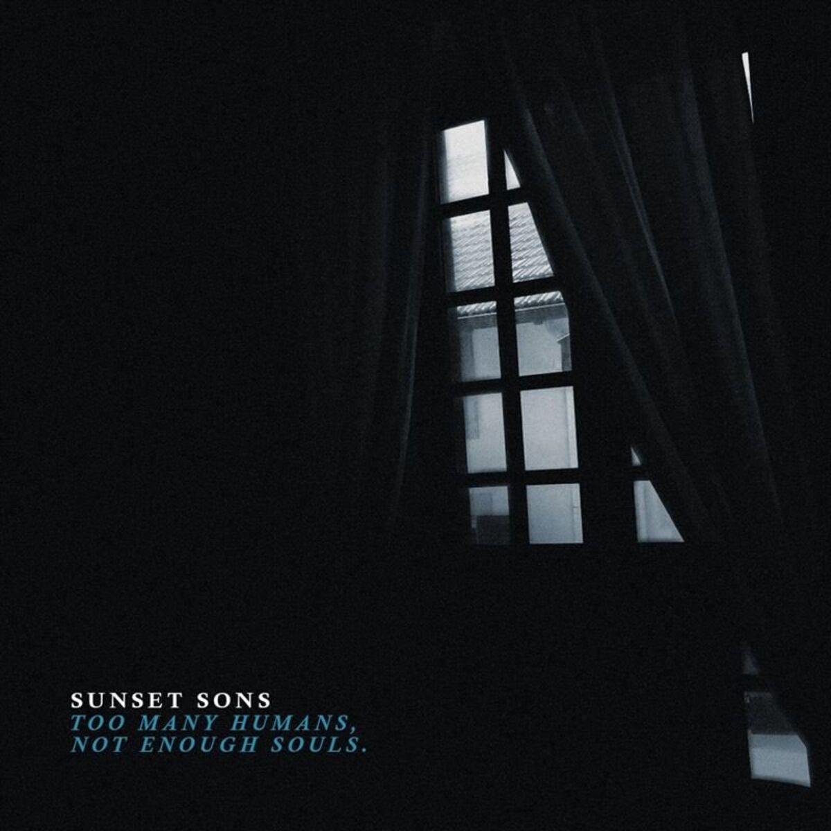 Album cover of Too Many Humans, Not Enough Souls.