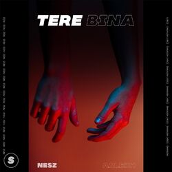 Cover of Tere Bina