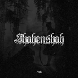 Cover of Shahenshah