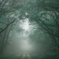 Cover of misting