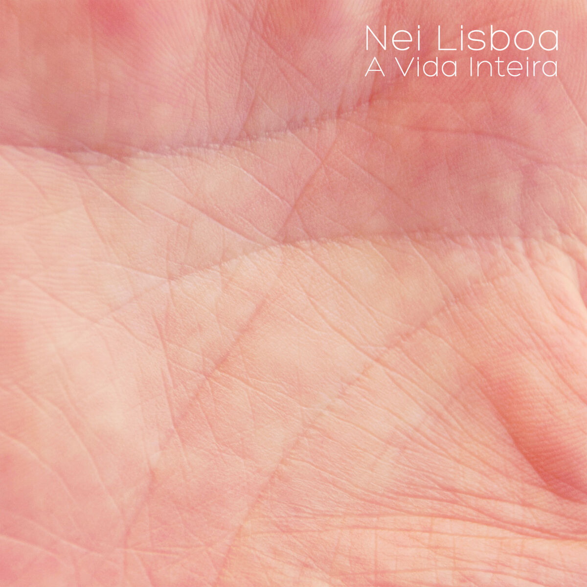 Album cover of A Vida Inteira