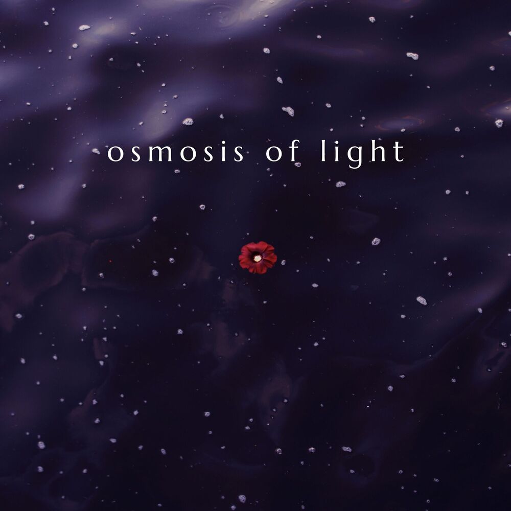 Picture of Osmosis of Light: Fading Into Serenity