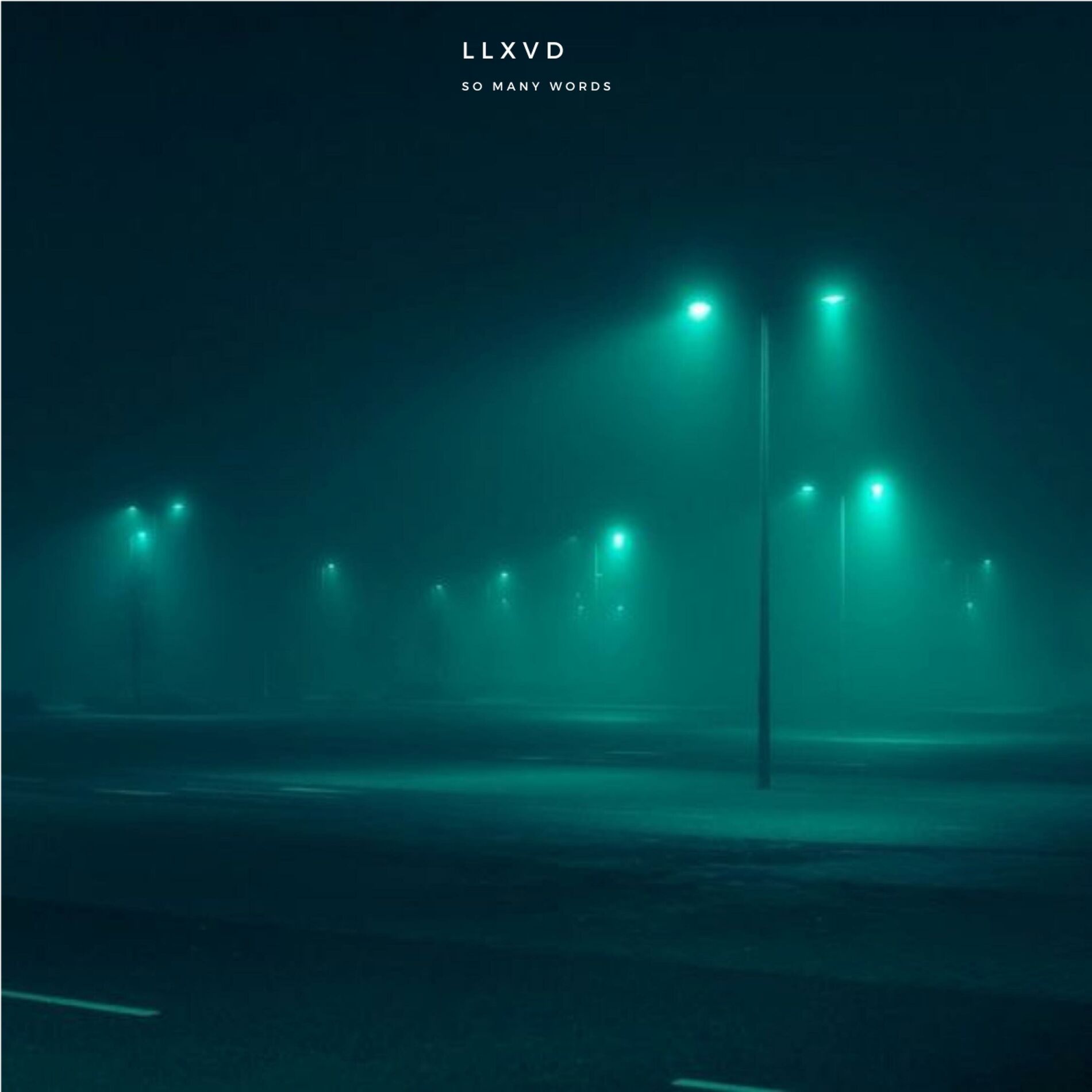Album cover of so many words
