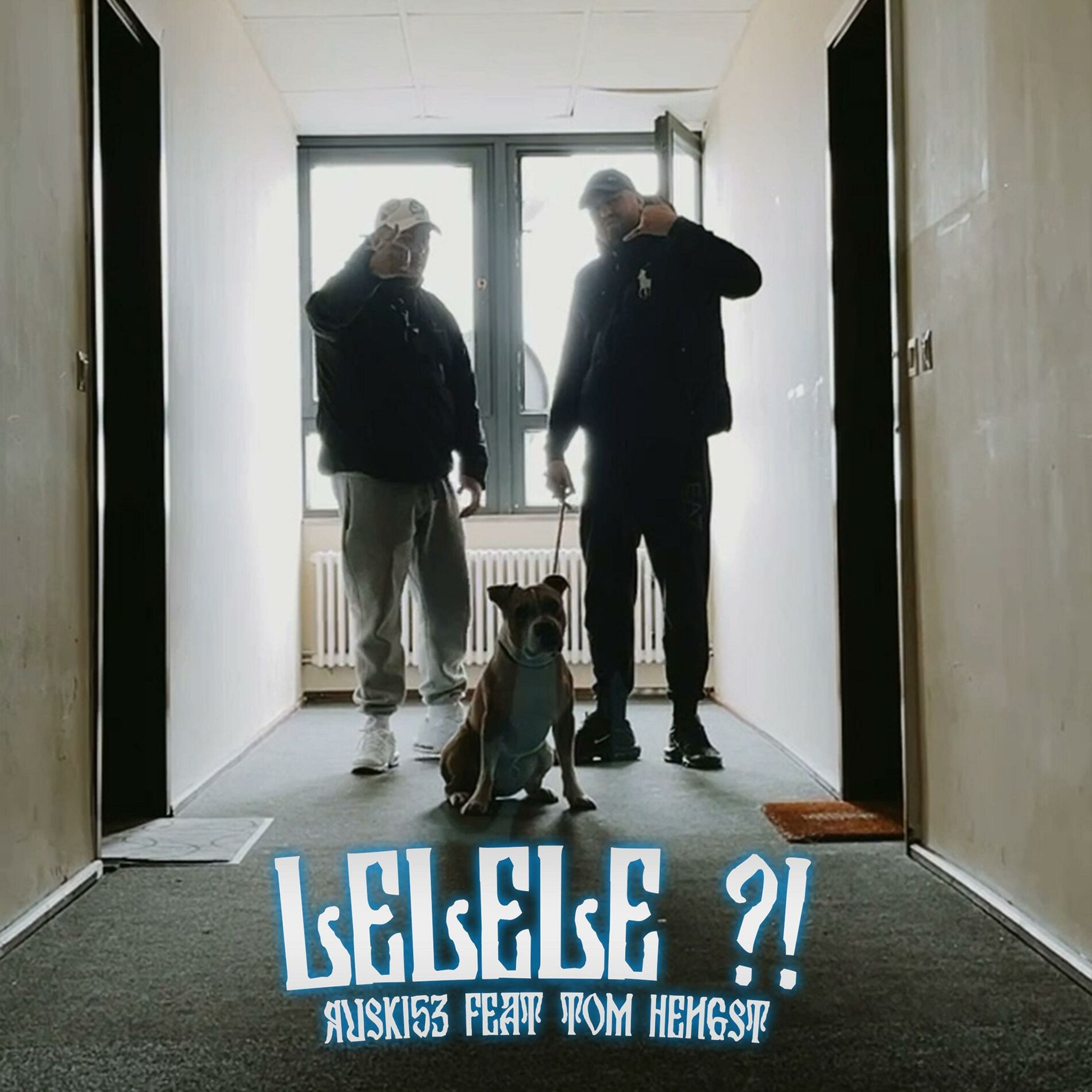 Album cover of Lelele ?! (feat. Tom Hengst)