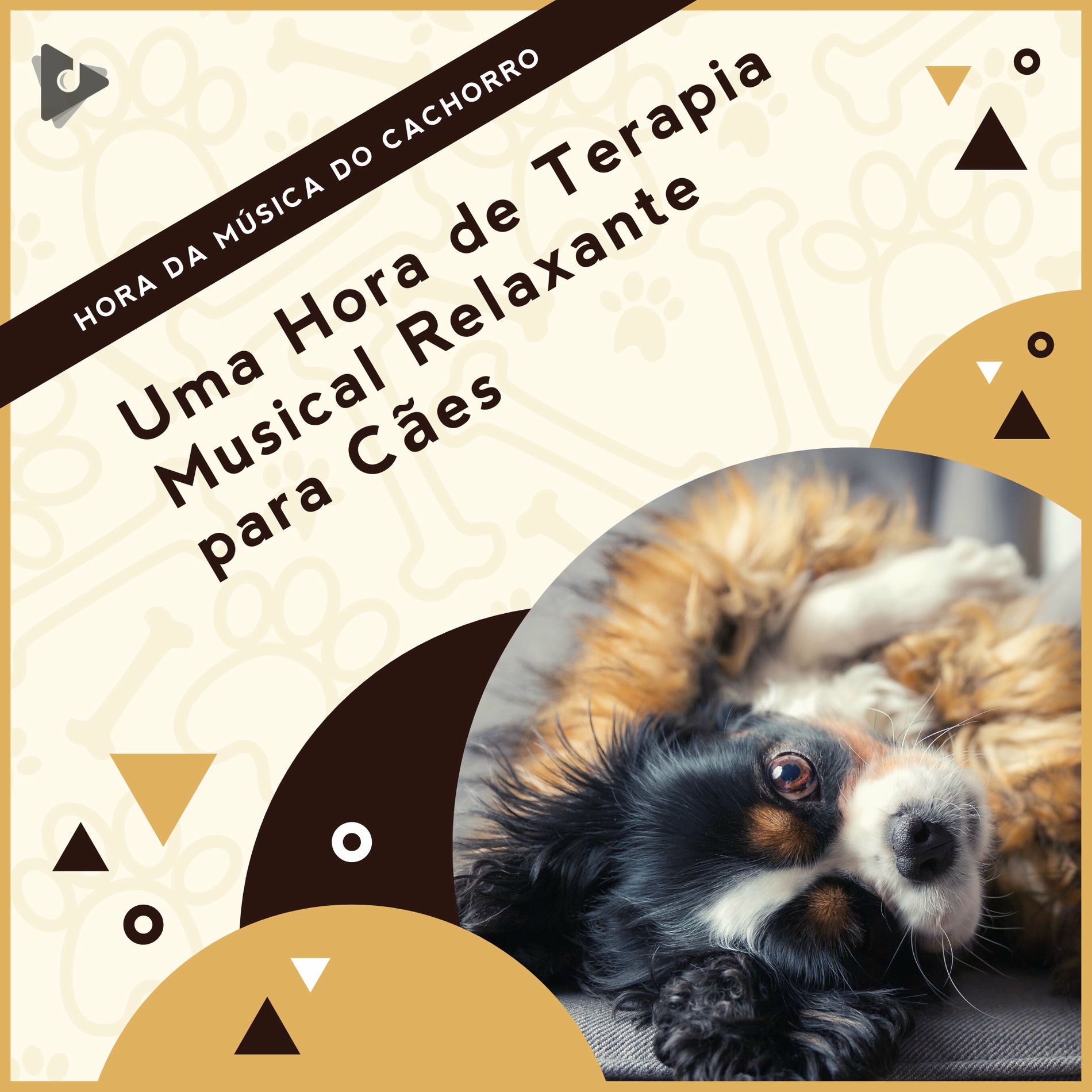 Album cover of 1 Hora de Terapia Musical Relaxante para Cães