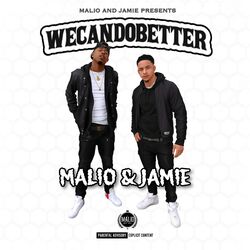 Cover of We Can Do Better
