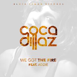 Cover of We Got the Fire